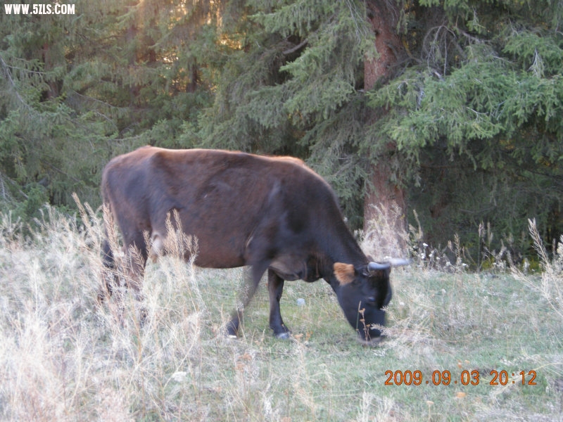 DSCN2103.JPG