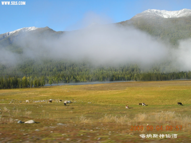 DSCN2155.JPG