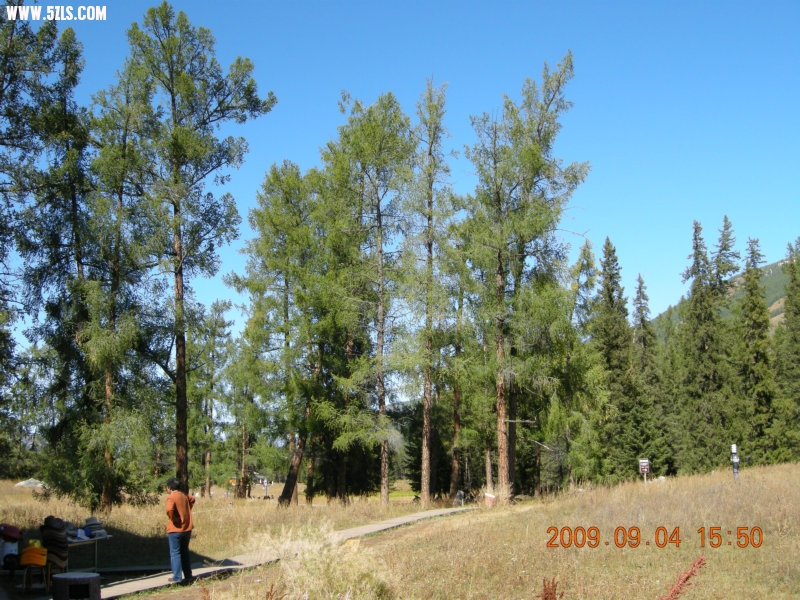 DSCN2307.JPG