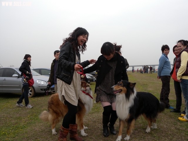DSCN0942.jpg