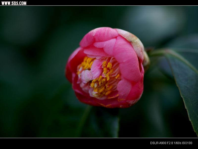 DSC00372.jpg