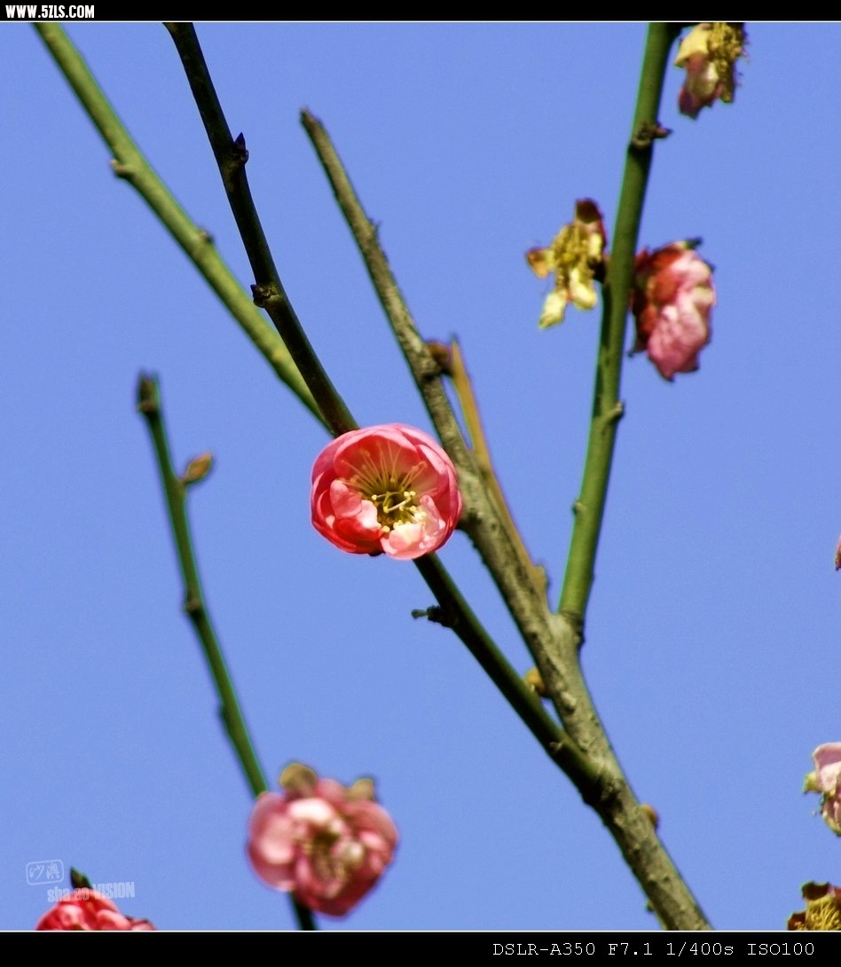 DSC0041_Ӱ_1.jpg