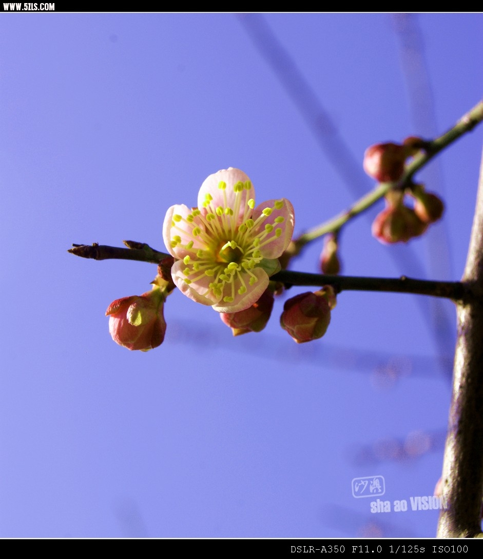 DSC0043_Ӱ_1.jpg