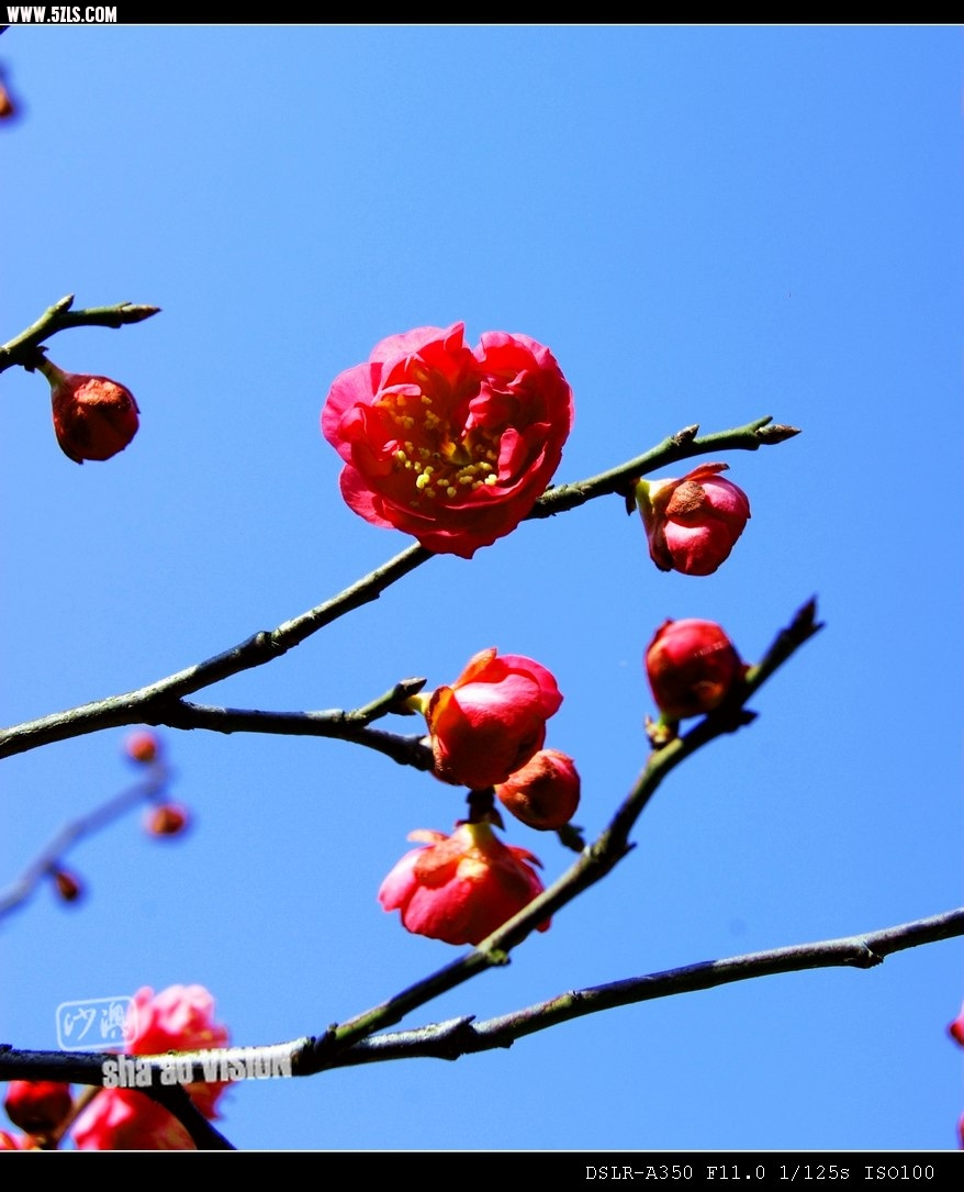 DSC0049_Ӱ_1.jpg