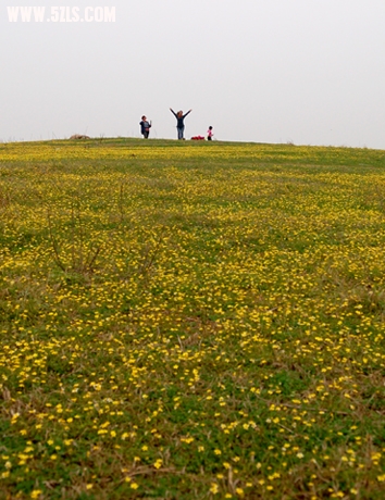 DSC_0061-3.jpg