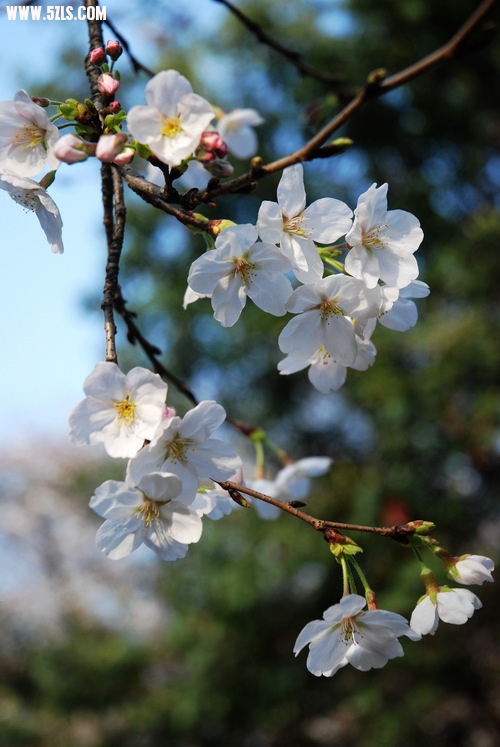 DSC_0014.jpg