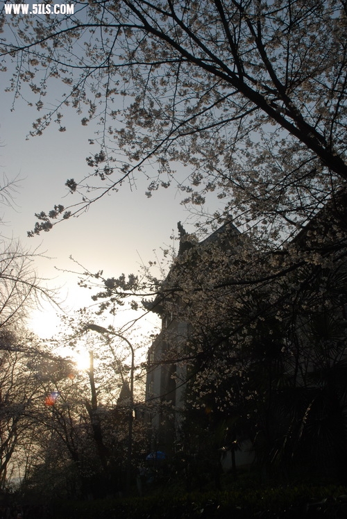 DSC_0029.jpg