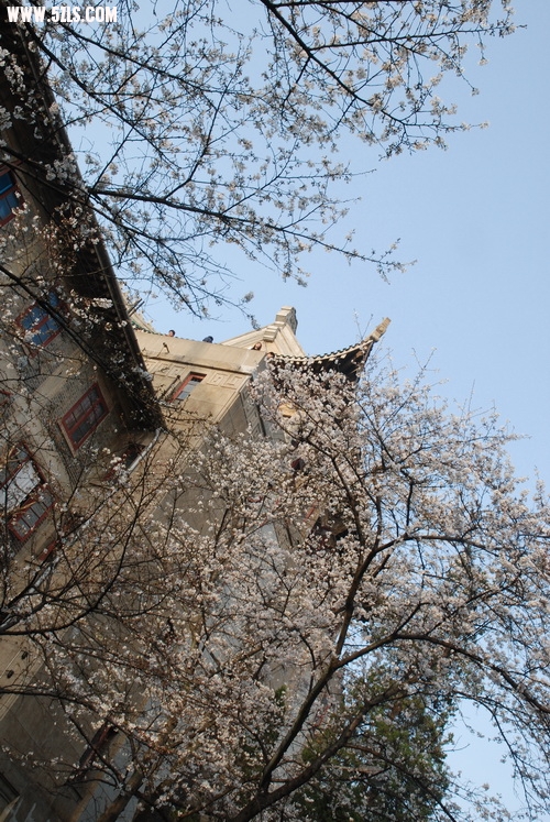 DSC_0034.jpg