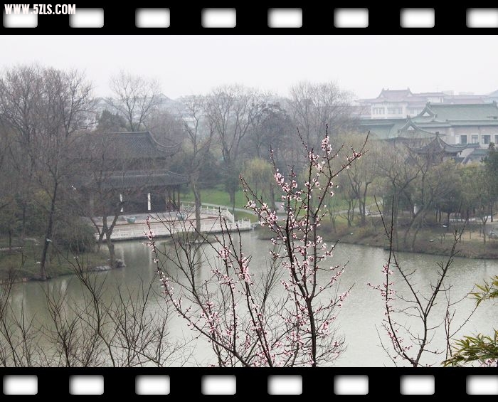 Ƭ1 162.jpg