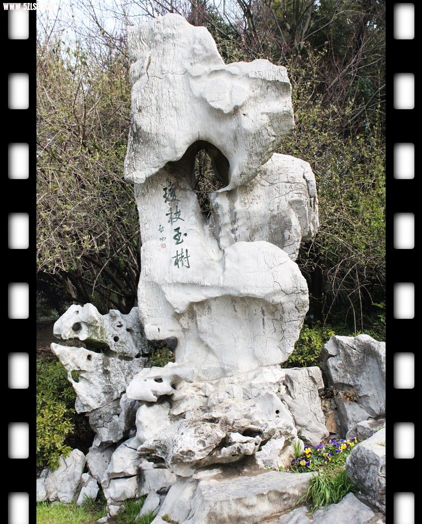 Ƭ1 173.jpg