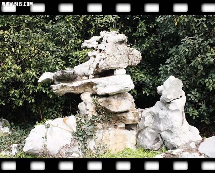 Ƭ1 175.jpg