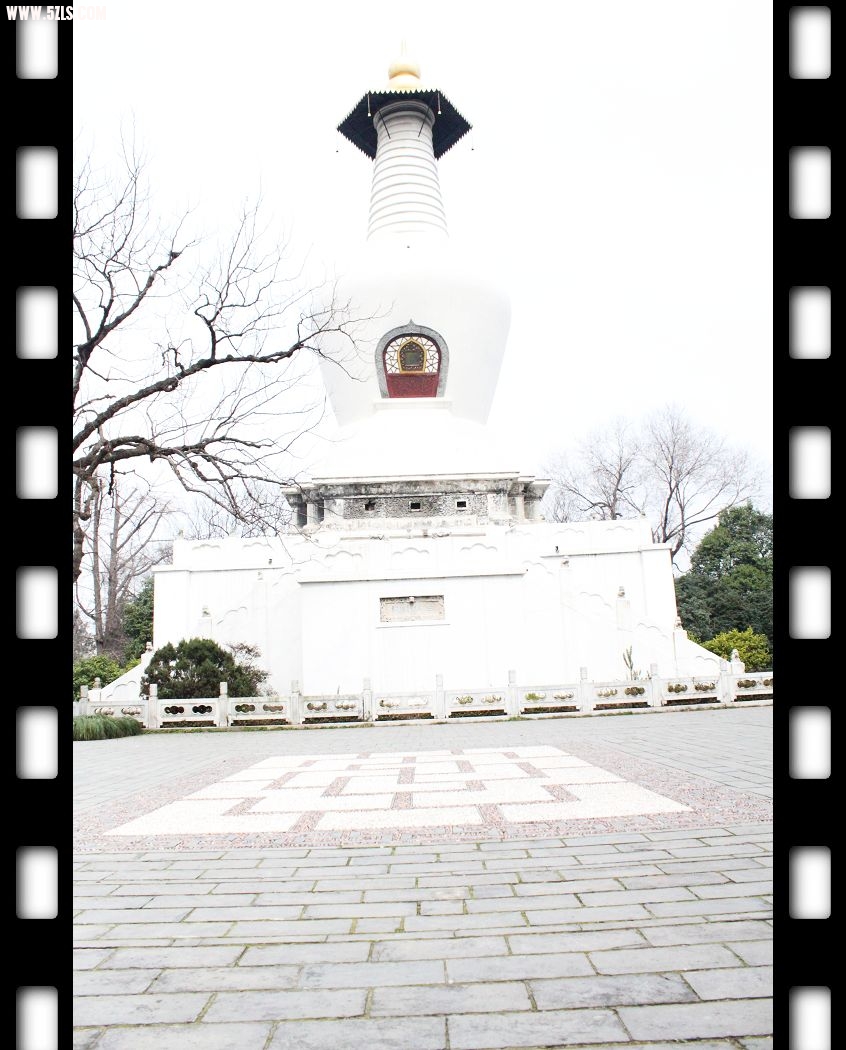 Ƭ1 206.jpg