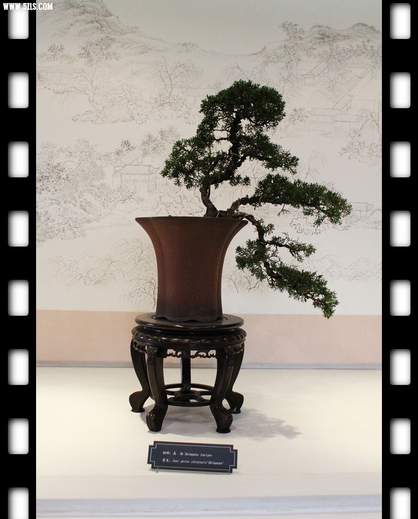 Ƭ1 280.jpg