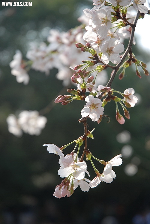 DSC_0032.jpg