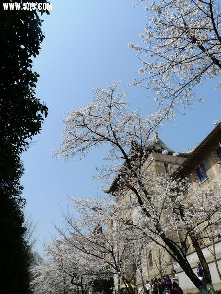 Ƭ 027.jpg