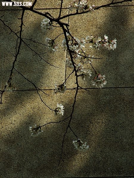 Ƭ 020.jpg