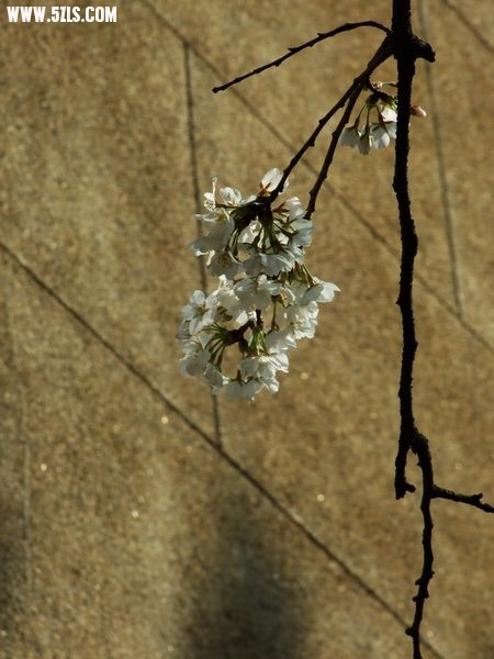 Ƭ 022.jpg