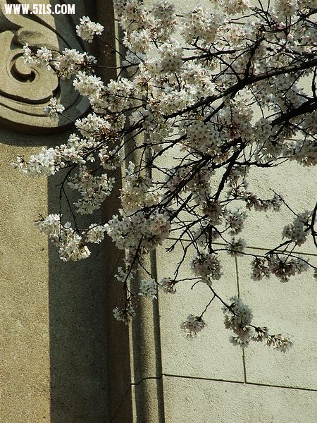 Ƭ 037.jpg