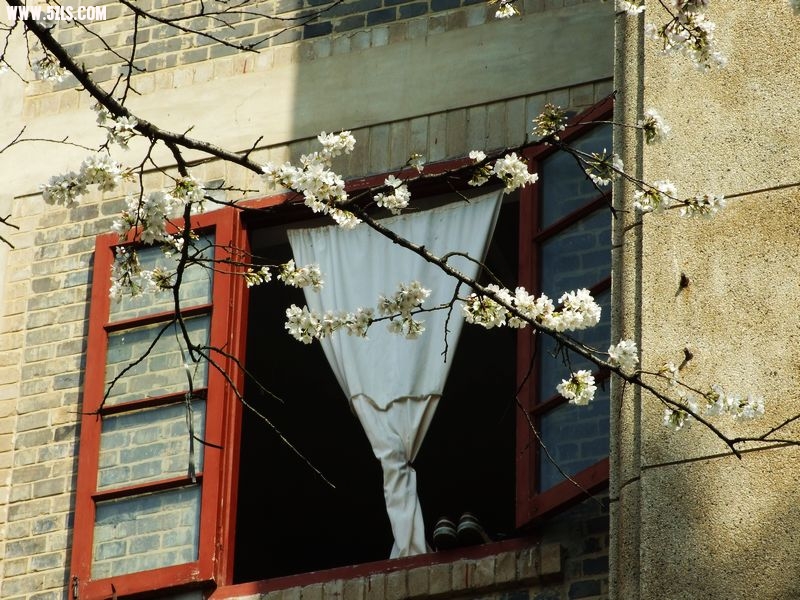 Ƭ 016.jpg