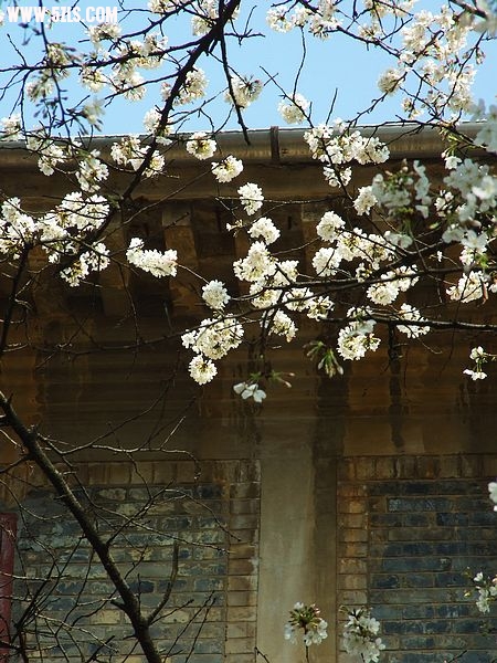 Ƭ 068.jpg
