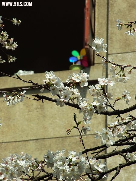 Ƭ 095.jpg