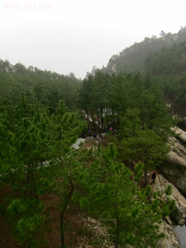 100_0277.JPG
