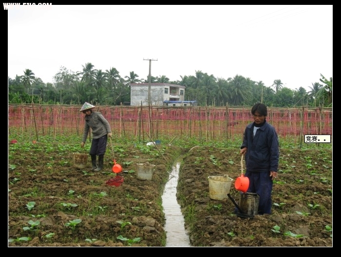 躲在路边吃西瓜，和当地的村民聊天