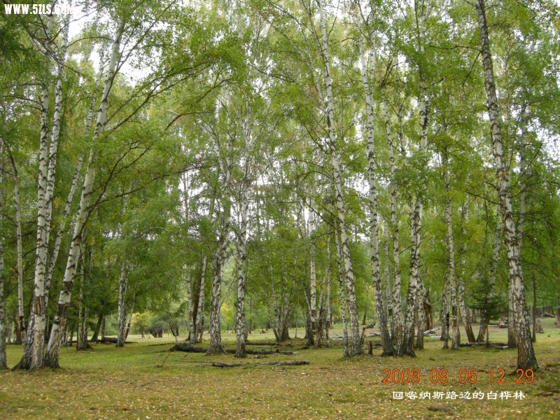 DSCN2465.JPG