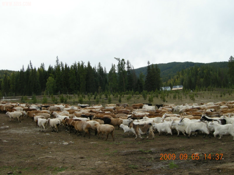 DSCN2477.JPG