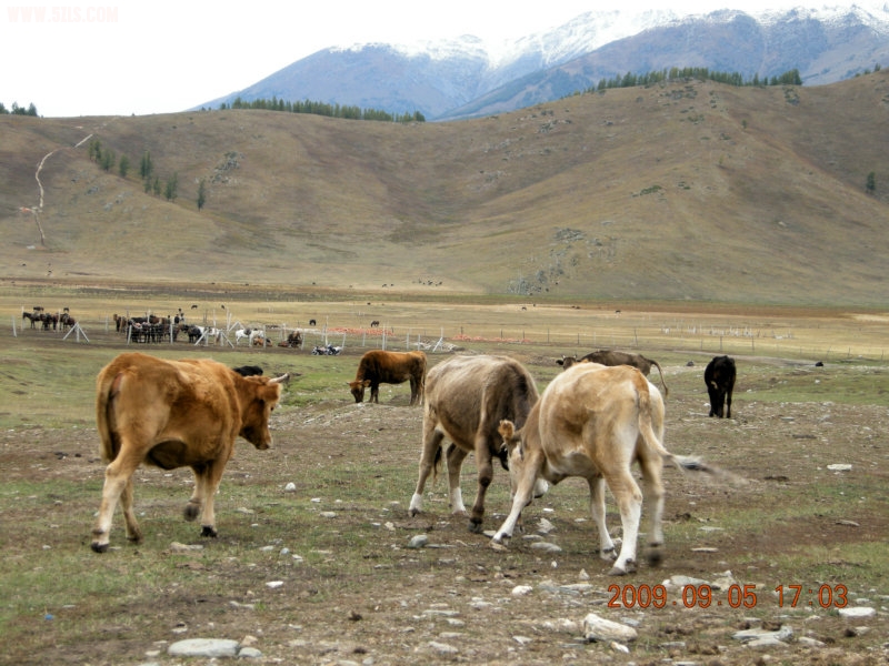 DSCN2487.JPG