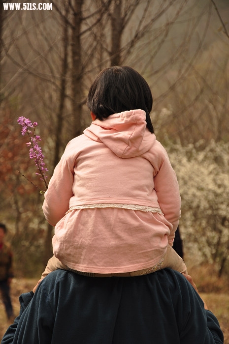 照片 307.jpg