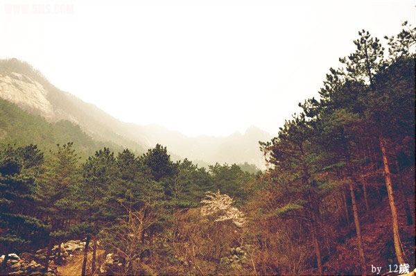 Ƭ 009_.jpg