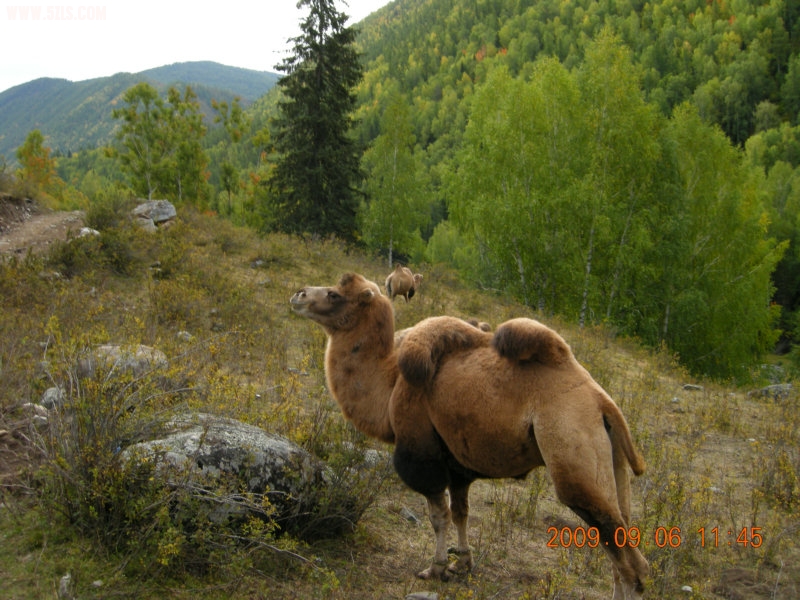 DSCN2504.JPG