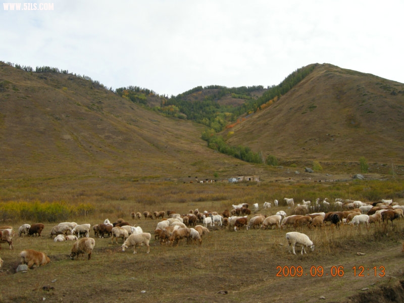 DSCN2523.JPG