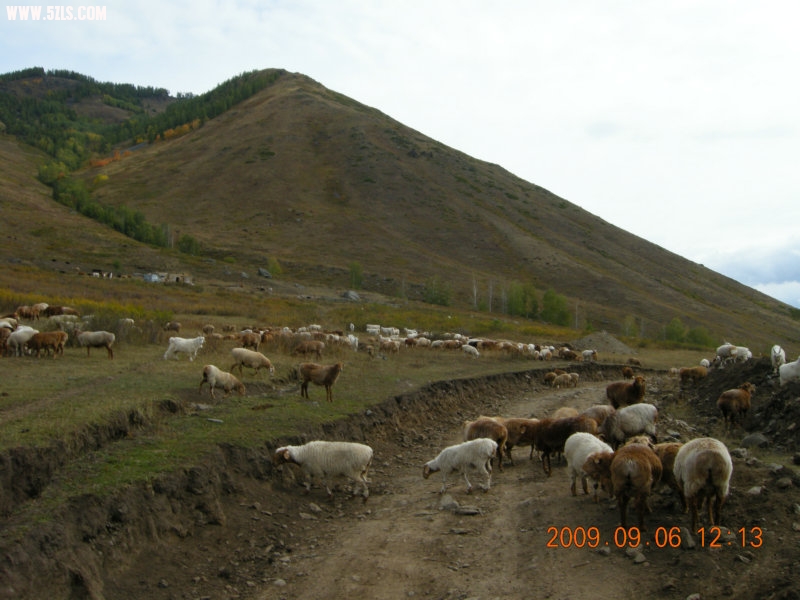 DSCN2522.JPG
