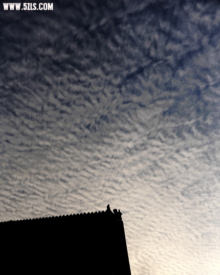 2010 899.jpg