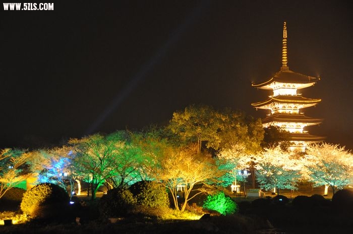DSC_1165 (3),.jpg