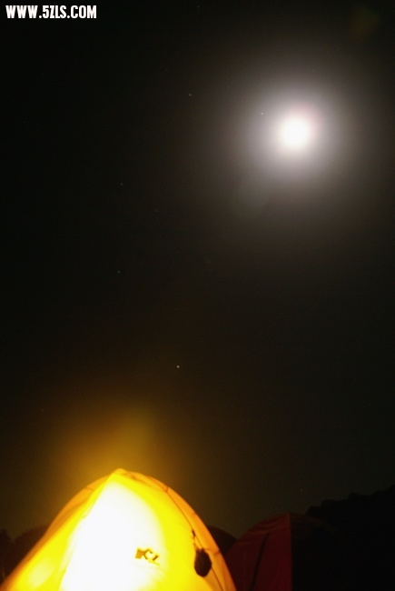 DSC02411.jpg