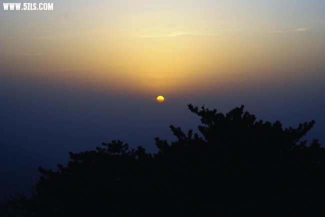 DSC02447.jpg
