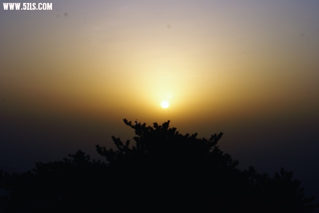 DSC02466.jpg