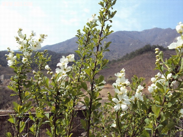 DSC02099.JPG