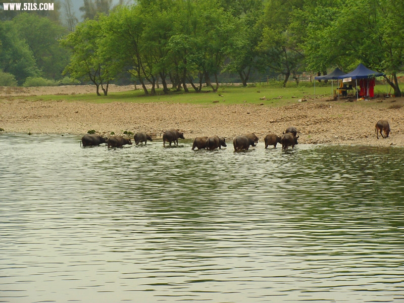 DSC01904.jpg
