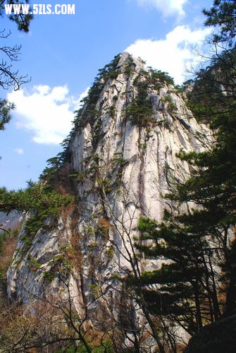 DSC02718.JPG