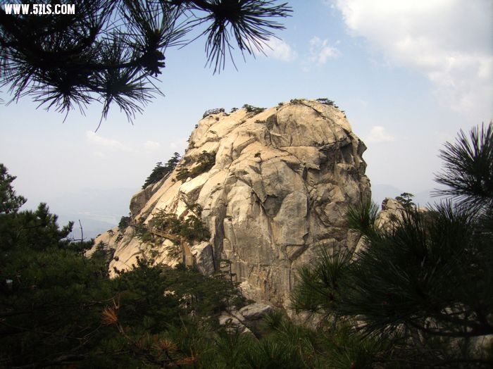CRW_0124.jpg