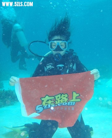菲律宾潜水行01.jpg