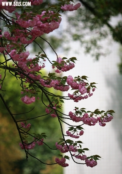 Ƭ002.jpg