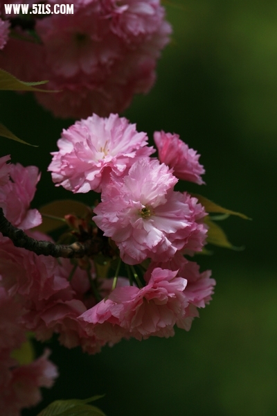 Ƭ008.jpg
