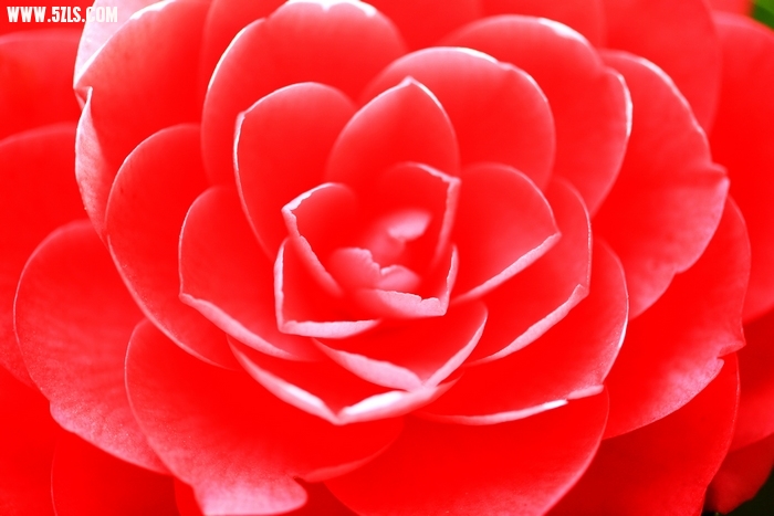 Ƭ020.jpg