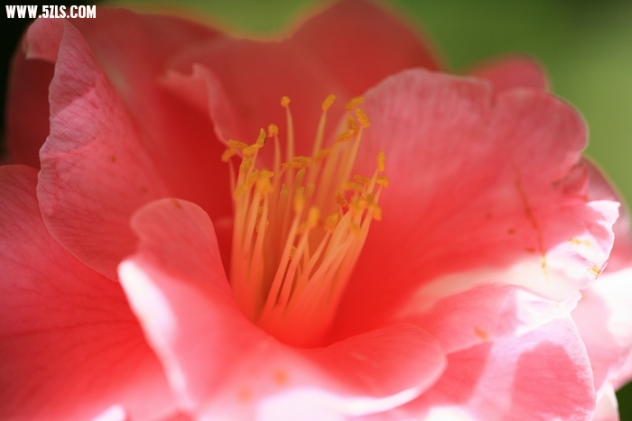 Ƭ018.jpg