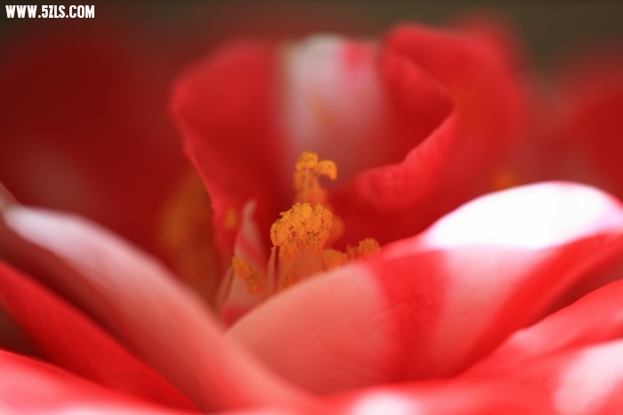 Ƭ019.jpg